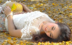 野花影视大全在线观看